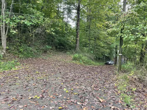 310 Simms Frk, Arjay, KY 40902 photo 10