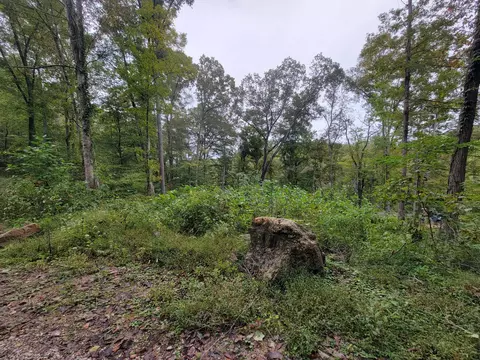 150 Punchs End, Burnside, KY 42519