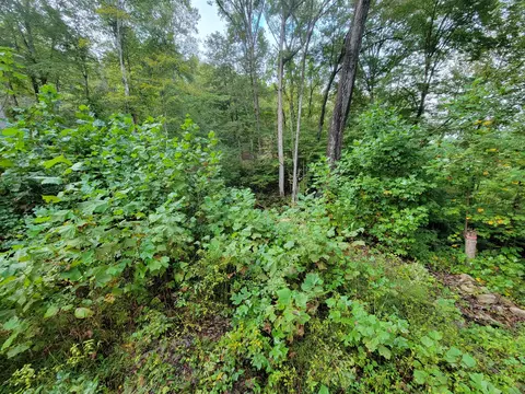 150 Punchs End, Burnside, KY 42519 photo 16