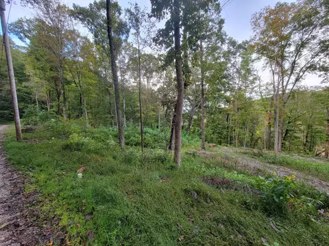 150 Punchs End, Burnside, KY 42519 photo 6