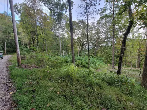 150 Punchs End, Burnside, KY 42519 photo 7