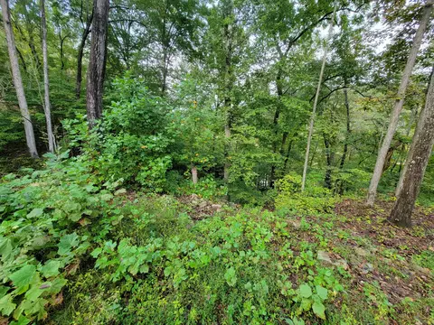 150 Punchs End, Burnside, KY 42519 photo 4
