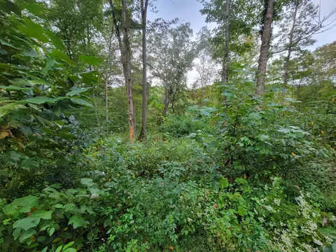 150 Punchs End, Burnside, KY 42519 photo 13