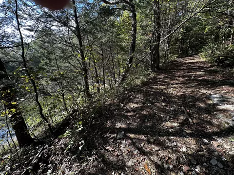 19 Kimber Dr, Nancy, KY 42544 photo 8