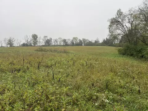 475 Curd Ln, Versailles, KY 40383