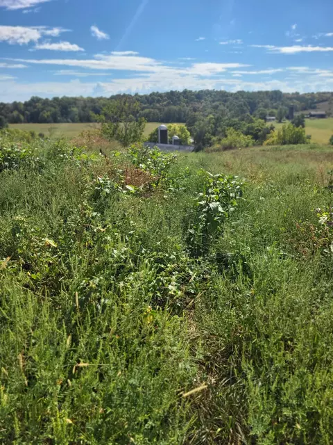 1009 Grapevine Rd, Harrodsburg, KY 40330