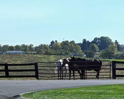 103 Winding View Trl, Georgetown, KY 40324 photo 51