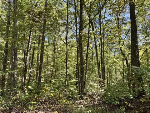 4500 Britton Branch Rd, Manchester, KY 40962