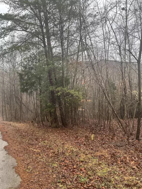 310 Clayton-lyons Rd, Monticello, KY 42633