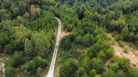 lot Apt 64 Shawnee Run Devlopment, Rogers, KY 41365
