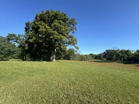 0 Dreyfus Rd, Waco, KY 40385 photo 16