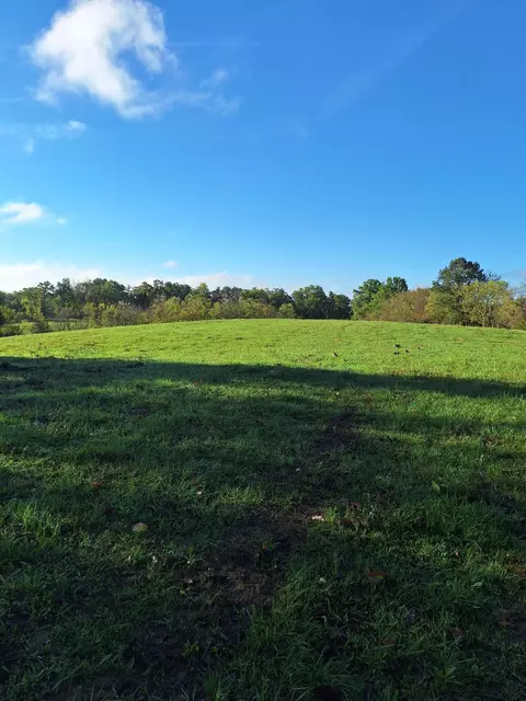 0 Casey Mill Rd, Berry, KY 41003 photo 15