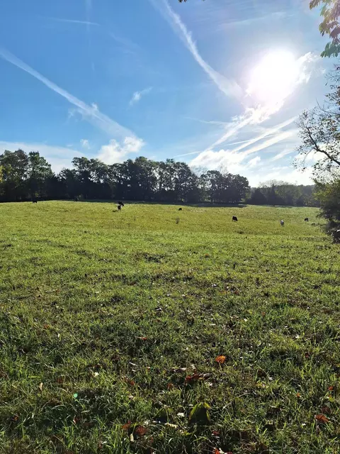 0 Casey Mill Rd, Berry, KY 41003 photo 18