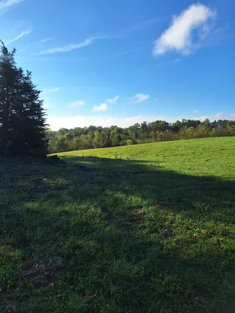 0 Casey Mill Rd, Berry, KY 41003 photo 16