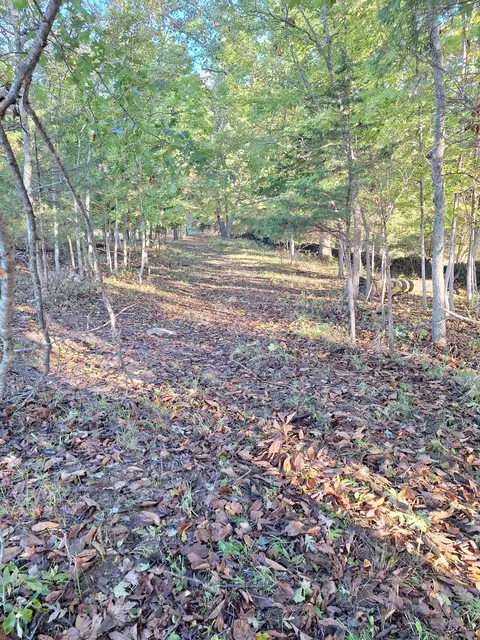 0 Casey Mill Rd, Berry, KY 41003 photo 24