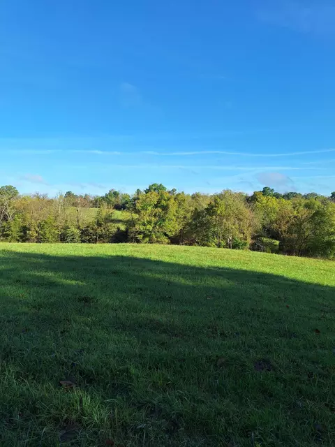 0 Casey Mill Rd, Berry, KY 41003 photo 8