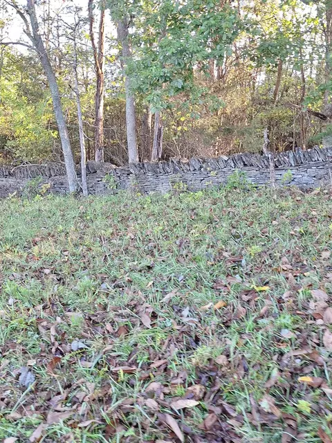 0 Casey Mill Rd, Berry, KY 41003 photo 26