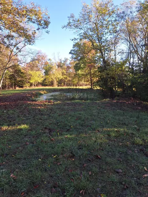 0 Casey Mill Rd, Berry, KY 41003 photo 21