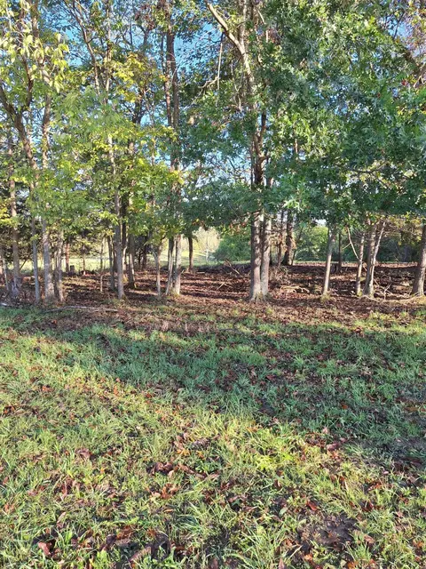 0 Casey Mill Rd, Berry, KY 41003 photo 19