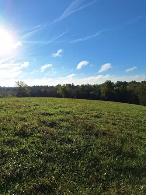 0 Casey Mill Rd, Berry, KY 41003 photo 17