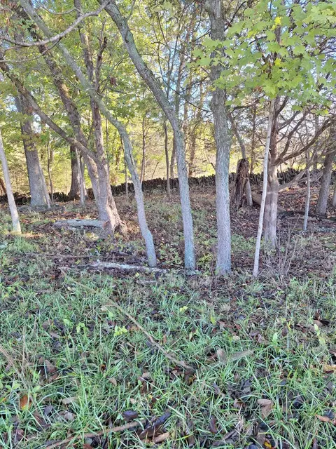 0 Casey Mill Rd, Berry, KY 41003 photo 22