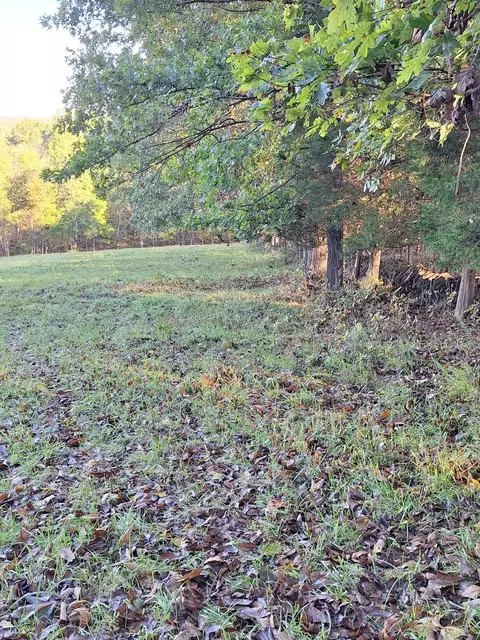 0 Casey Mill Rd, Berry, KY 41003 photo 25