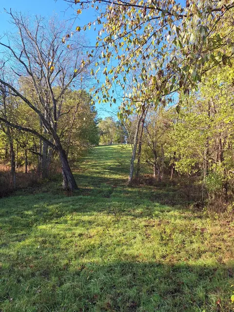 0 Casey Mill Rd, Berry, KY 41003 photo 10