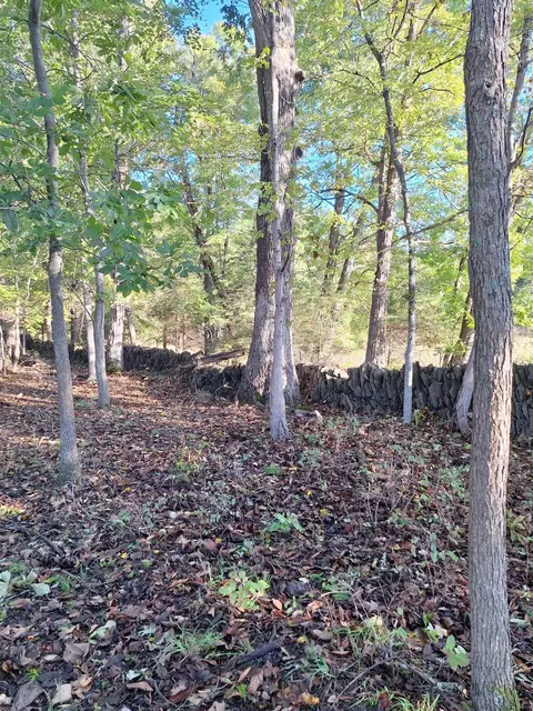 0 Casey Mill Rd, Berry, KY 41003 photo 23