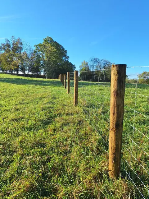 0 Casey Mill Rd, Berry, KY 41003 photo 28