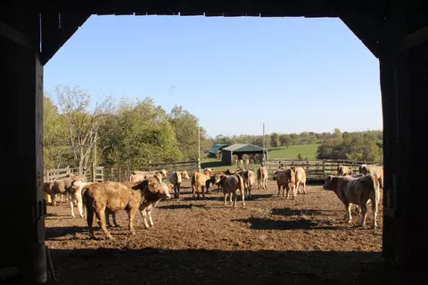 4031 Cynthiana Rd, Georgetown, KY 40324