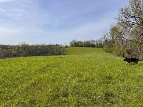 Other - 3617 Us 68, Ewing, KY 41039 photo 6 of 21