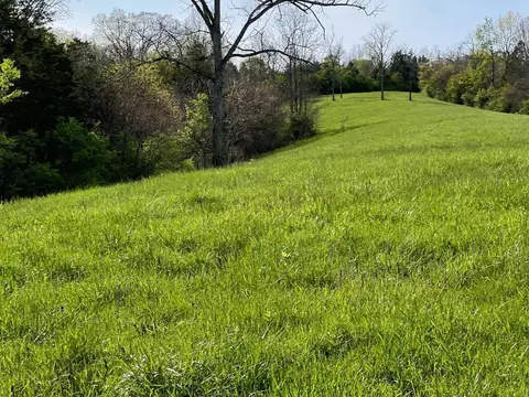 Other - 3617 Us 68, Ewing, KY 41039 photo 5 of 21