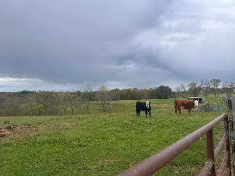Other - 3617 Us 68, Ewing, KY 41039 photo 10 of 21