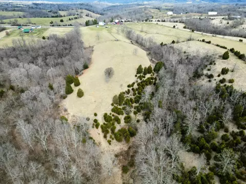 View/Area - 3617 Us 68, Ewing, KY 41039 photo 3 of 5