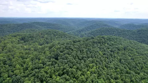 999 Trace Branch Rd, Livingston, KY 40445