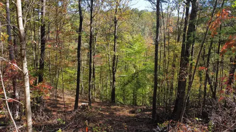 lot Apt 51 The Reserve At Cliffview, Zoe, KY 41397