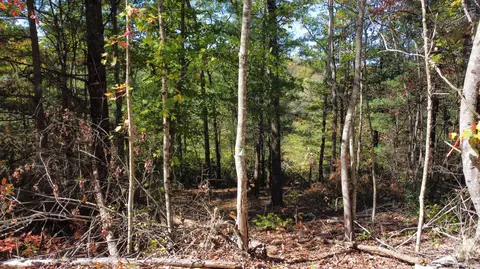 lot Apt 47 The Reserve At Cliffview, Zoe, KY 41397