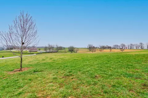 480 Lake View Rd, Ewing, KY 41039 photo 47