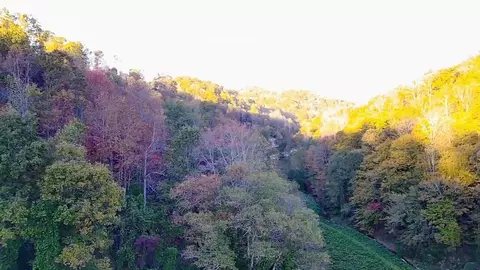 305 Moores Branch Rd, Booneville, KY 41314