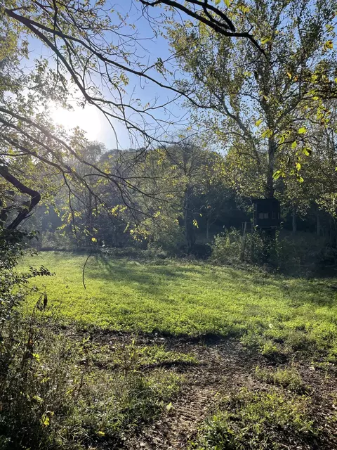 1871 Metcalf Mill Rd, Ewing, KY 41039 photo 28