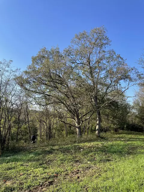 1871 Metcalf Mill Rd, Ewing, KY 41039 photo 26