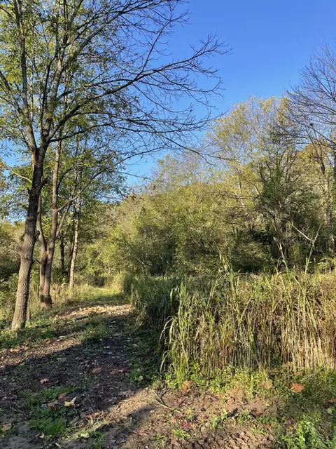 1871 Metcalf Mill Rd, Ewing, KY 41039 photo 34
