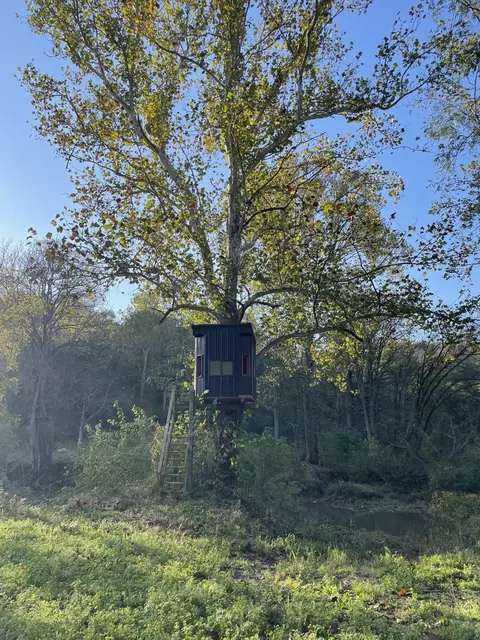 1871 Metcalf Mill Rd, Ewing, KY 41039 photo 33