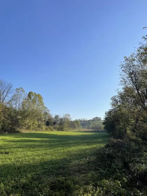 1871 Metcalf Mill Rd, Ewing, KY 41039 photo 35