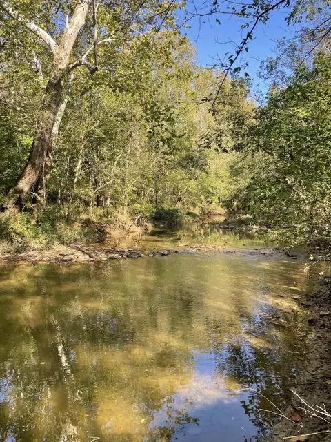 1871 Metcalf Mill Rd, Ewing, KY 41039 photo 6