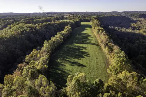 9999 Vaught Ridge Rd, Science Hill, KY 42553