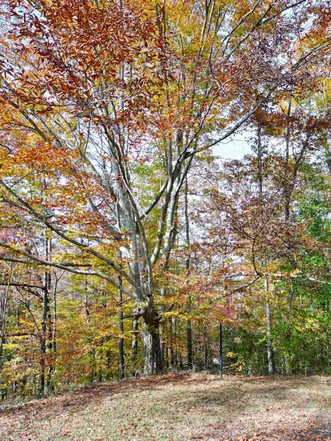 89 Weeping Willow Rd, Beattyville, KY 41311