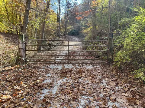 0 Gander Branch Rd, Vanceburg, KY 41179