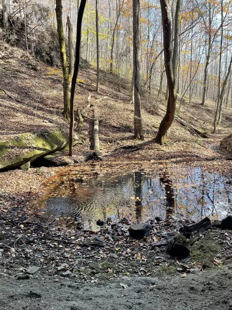 3015 Poplarville Rd, Somerset, KY 42501