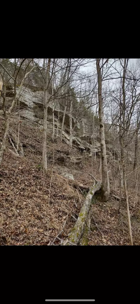 496 Canoe Rd, Jackson, KY 41339 photo 2